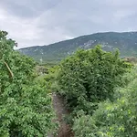 Casa Angelo נזרין
